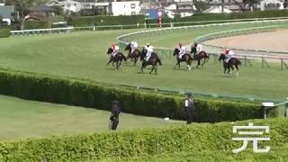 オークス候補誕生エポカドーロの妹カインドリー新馬楽勝