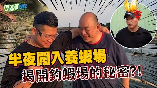 釣蝦場的蝦子從哪來？挑戰養蝦場初體驗！！【含羞草日記】