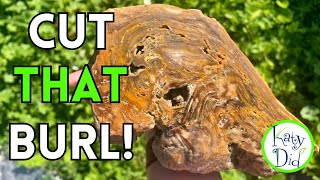 INCREDIBLE INSIDES! Cutting Agatized Burl and an AGATE CUBE