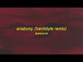 teenwxve anatomy hardstyle remix