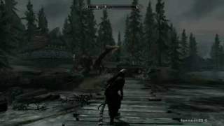 The Elder Scrolls V: Skyrim   Ennesimo duello col drago!