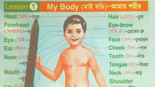 My Body. আমার শরীর, শরীরের অঙ্গ প্রত্যঙ্গের ইংরেজি নাম।@SHOHEL.School