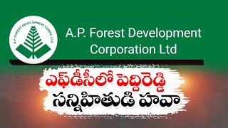 రాష్ట్ర అటవీ అభివృద్ధి సంస్థ APFDCలో పెద్దిరెడ్డి సన్నిహితుడు | Peddireddy Relative in APFDC