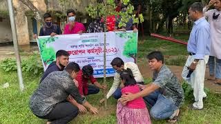 ইউএনও, বরুড়া, কুমিল্লা(UNO, Barura, Cumilla)। বরুড়া শান্তি সংগঠন এর বৃক্ষরোপণ