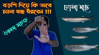 বড়শি দিয়ে চ্যালা মাছ ধরার সহজ পদ্ধতি || টোপ রেচিপি || chela mach || amazing hook fishing ||