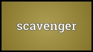 Scavenger Meaning