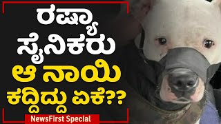 Pitbull Dog : ರಷ್ಯಾ ಸೈನಿಕರು ಆ ನಾಯಿ ಕದ್ದಿದ್ದು ಏಕೆ ? | Ukraine VS Russia | NewsFirst Special