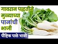 ही पालेभाजी करून पहा || Mulyachya Panachi Bhaji || Palebhaji Recipes || Ground Vegetables ||