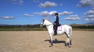 Lavender Collection - Equestrian Stockholm