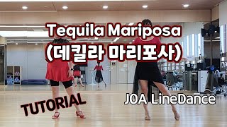 Tequila Mariposa(데킬라 마리포사) LineDance(Tutorial)(High Beginner) #평택조아라인댄스설명 #트로트라인댄스 #오세인