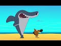 zig e sharko 🌴 dia de festa 🎉 zig e sharko brasil desenho animado em português