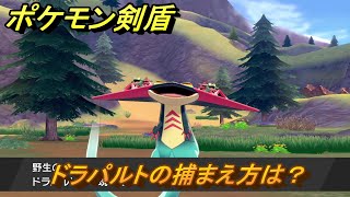 ポケモン剣盾　ドラパルトの出現場所は？オススメの場所は？天気は？ポケモン図鑑コンプへの道！　最新版【ポケモンソード・シールド】