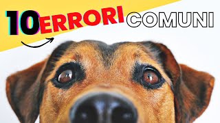 10 Errori Comuni nell'addestramento dei Cani