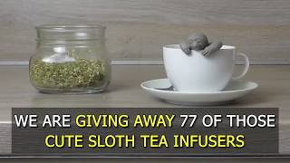 Check Out This Cute Sloth Tea Infuser