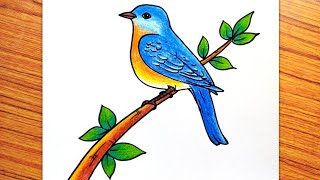 Easy Bird Drawing, How to Draw a Bird, Eastern Bluebird Drawing, Bird on Tree Drawing