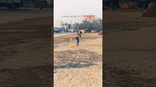 cricket video 🙏🏏🏏🏏#cricketlover #viratkohli #aliabhatt @mydoctorhealthyzonedrAnubhav #ipl2024 🏏🏏🙏🙏
