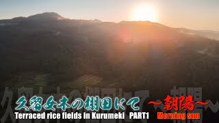 【ドローン４K空撮：MAVIC AIR2】久留女木の棚田にて〜朝陽〜　Terraced rice field in Kurumeki Part 1   Morning sun