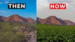 How Arizona Cities are Becoming a Sustainable Green Oasis in the Desert - GREENING PHOENIX DESERT