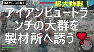 【DAYSGONE】アイアンビュートランチの大群を製材所に引き連れ戦う！　　　　　　　　　超大群戦！　D（やばい、数が多すぎる・・・）