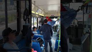 ￼ guy puts up hammock on city bus (skit)