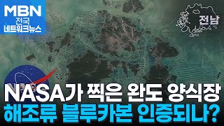 인공위성이 찍은 완도 양식장…해조류의 블루카본 인증으로 [전국네트워크]