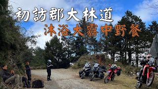 【 郡大林道 】初訪郡大絕美林景 、沐浴大霧中享受午餐 !