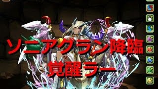 【パズドラ】降臨チャレンジ　ソニアグラン降臨　覚醒ラー