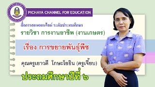 พิชญศึกษาวิดีโอเพื่อการศึกษา การงานอาชีพ ระดับประถมศึกษา ป.6 เรื่องการขยายพันธ์ุพืช