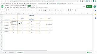 Applying the Project Selection and Prioritization Matrix to Team Project