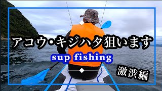 【SUPフィッシング】曇天　激渋根魚狙い！狙うはアコウ(キジハタ)　サップで釣り！釣果は・・？