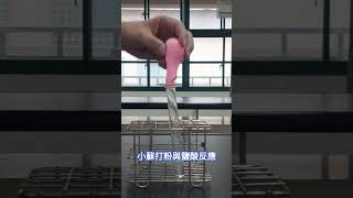 EJ實驗  小蘇打與鹽酸反應  baking soda and Hydrochloric acid.