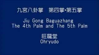 【九宮八卦掌】～第四掌＆第五掌～　Baguazhang The 4th \u0026 The 5th Palm　～by Ohryudo