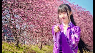 【あもね】千本桜【踊ってみた】