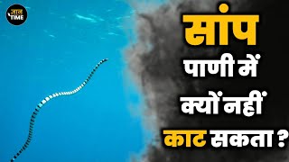 सांप पानी में क्यों नहीं काटता? why snake don't bite in water?