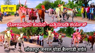 ಲೋಕಾಪುರ ಜನರಲ್ ಕುದುರೆ -ಎತ್ತಿನಗಾಡಿ ಶರ್ಯತ್ | लोकापूर घोडा बैल शर्यत | lokapur ghoda-bail sharyat #cow🔥🚩