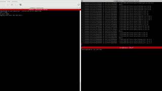 Duzzle - Dumping a process over a network using gdbserver