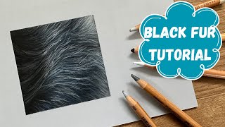 How to Draw Black Fur - Pastel Drawing Tutorial