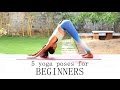 5 yoga poses for Beginners