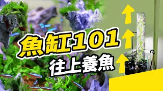 老婆不讓你擴缸怎麼辦？簡單學會一個讓家人驚嘆的作法 Learn this trick, you can raise 100 more fish in the same tank! 負壓魚缸 漂浮魚缸