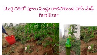 మొగ్గ దశలో పూలు పళ్లు రాలిపోకుండా హోం మేడ్ fertilizer