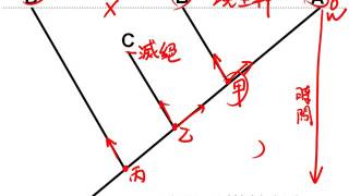 10501基礎生物ch5 2 01生命樹簡介 1二簡
