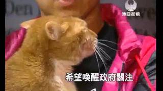 20111127-mastv-團體再上街:力爭虐畜刑事化!.wmv