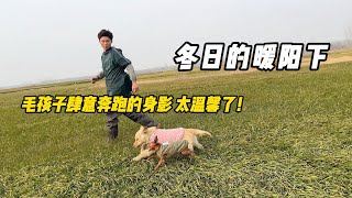 曾是被命運拋弃的毛孩子在小院重獲新生！ 它們的幸福我們的願望！