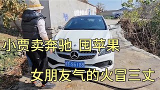 小贾卖奔驰车囤苹果，女朋友火冒三丈找他理论，俩人谁说的对呢？