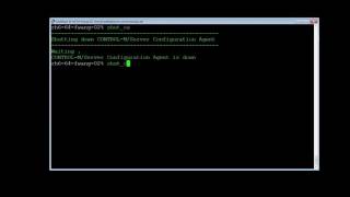 How to Backup and Restore a Specific Table in the Control-M Server database.(Spanish)