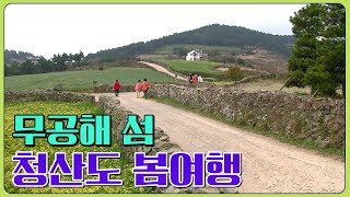 느려서 아름다운 '청산도' 봄여행 #유채꽃 #서편제 #돌담 [전국시대]