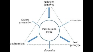 community health nursing| Dynamics of disease transmission| mode of transmission