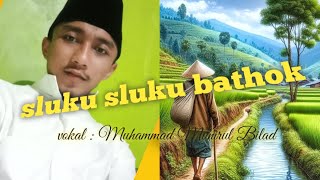 sholawat || sluku sluku bathok @MuhammadMunirulBilad