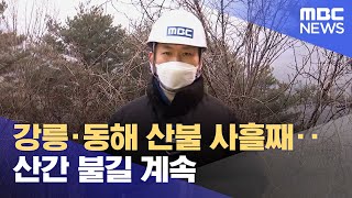 강릉·동해 산불 사흘째‥산간 불길 계속 (2022.03.07/뉴스투데이/MBC)