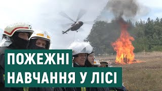 Як на Харківщині вчаться гасити лісові пожежі